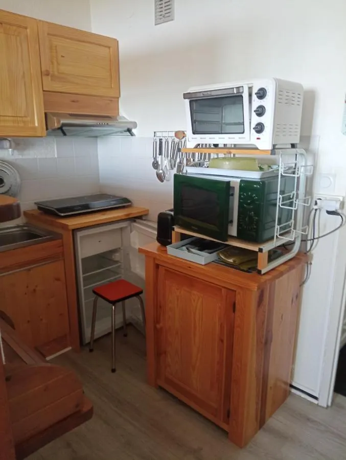 Agreable Studio Aux Grands Horizons Apartment Besse-et-Saint-Anastaise 0*,