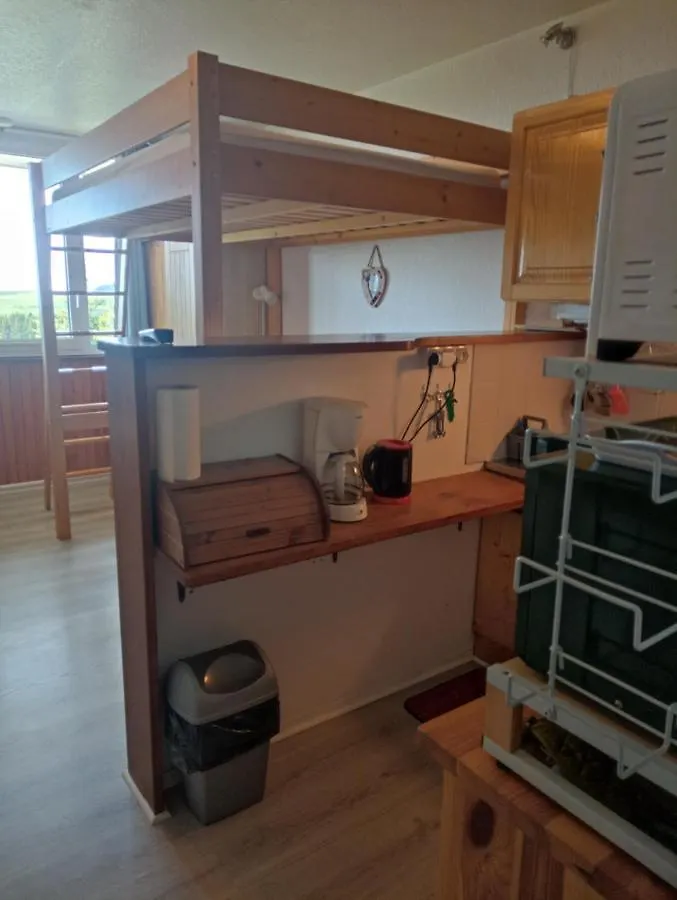 Agreable Studio Aux Grands Horizons Apartment Besse-et-Saint-Anastaise