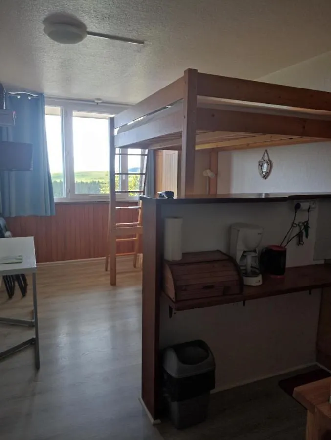Agreable Studio Aux Grands Horizons Apartment Besse-et-Saint-Anastaise